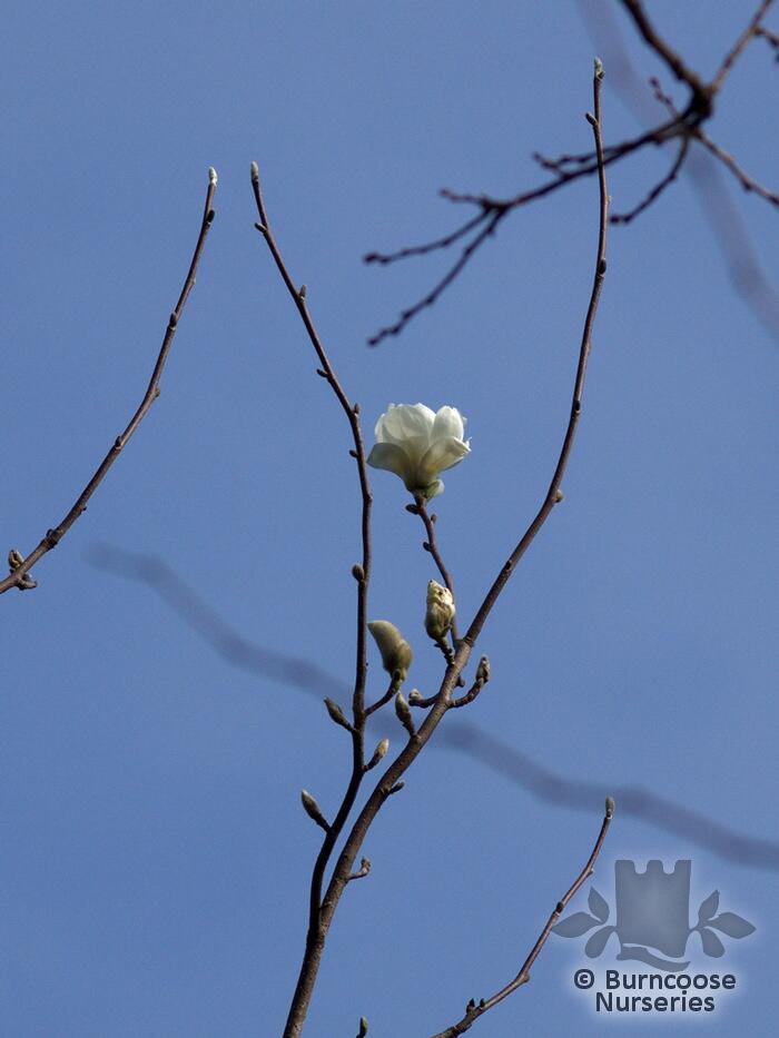 View larger photo
