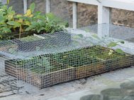 Mesh to keep mice out