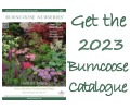 Order the 2024 Burncoose Catalogue