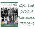 Order the 2024 Burncoose Catalogue