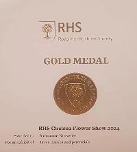 2024 - Gold Medal